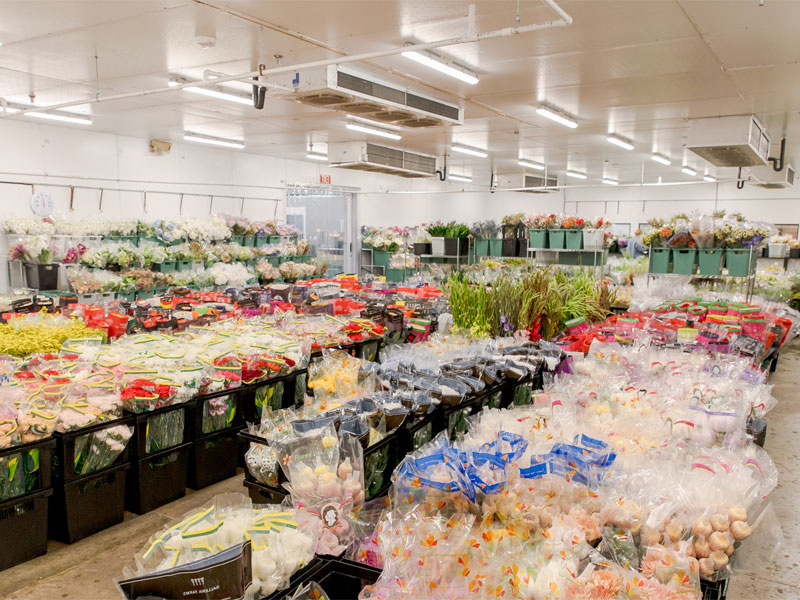 Soğuk hava deposunda çiçek depolama